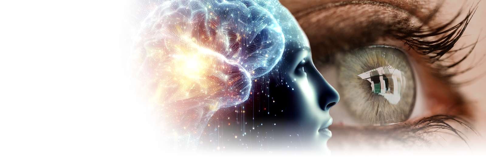 Neurotraining